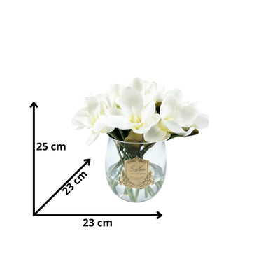 Weiße Magnolien in Glasvase – elegante Duftblumen für Ihr Badezimmer