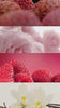 im parfum enthaltene duftnoten litchi, rose, framboise und vanilla.