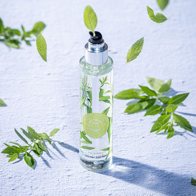 runde hohe glasspruehflasche prickelnde verbene steht auf weissem tisch daneben  blaetter